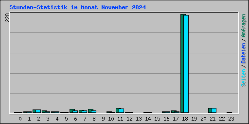 Stunden-Statistik im Monat November 2024