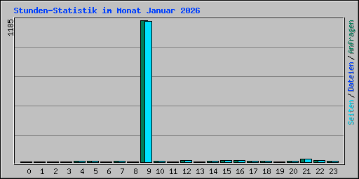 Stunden-Statistik im Monat Januar 2026