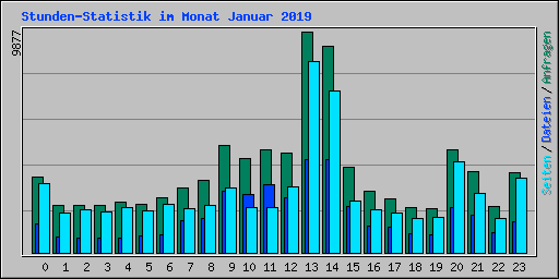 Stunden-Statistik im Monat Januar 2019