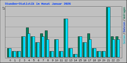 Stunden-Statistik im Monat Januar 2026