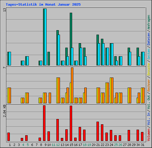 Tages-Statistik im Monat Januar 2025
