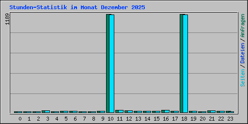 Stunden-Statistik im Monat Dezember 2025