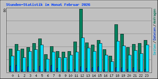 Stunden-Statistik im Monat Februar 2026