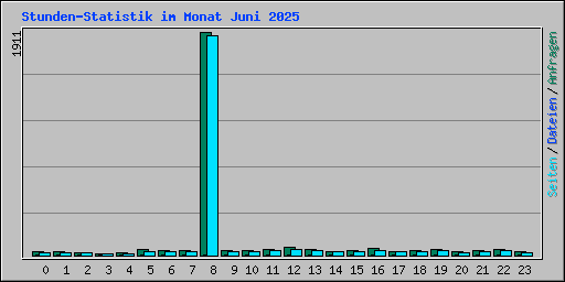 Stunden-Statistik im Monat Juni 2025