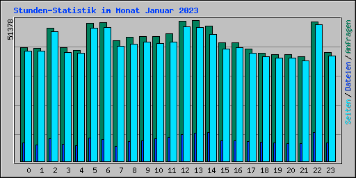 Stunden-Statistik im Monat Januar 2023