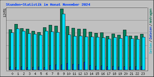 Stunden-Statistik im Monat November 2024
