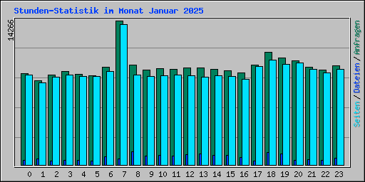 Stunden-Statistik im Monat Januar 2025