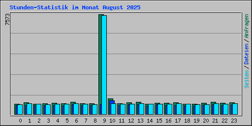 Stunden-Statistik im Monat August 2025