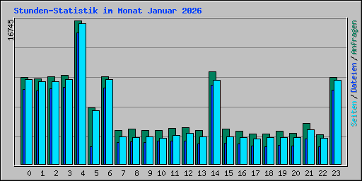Stunden-Statistik im Monat Januar 2026