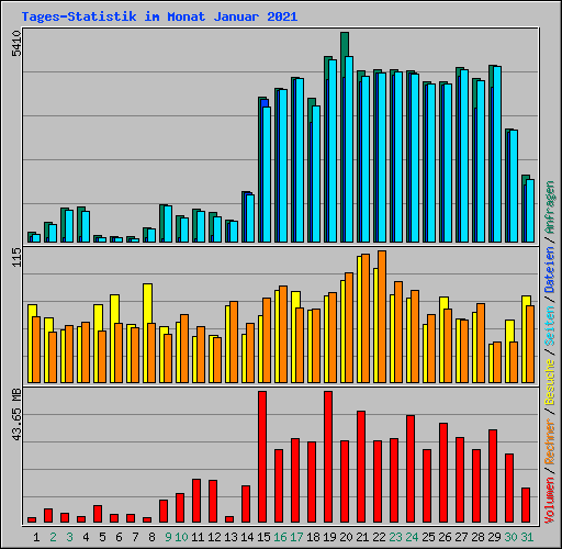 Tages-Statistik im Monat Januar 2021