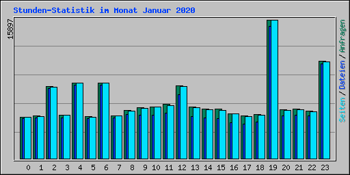 Stunden-Statistik im Monat Januar 2020