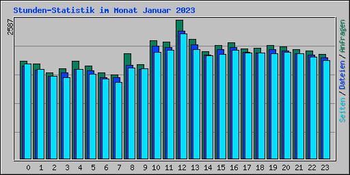 Stunden-Statistik im Monat Januar 2023